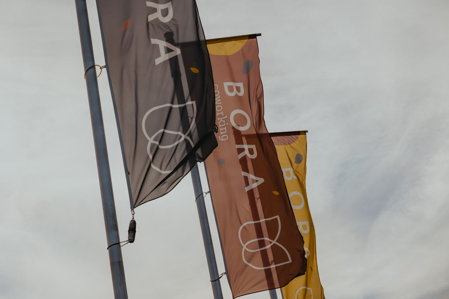 Coworking Experience Day - 5Y of BORA